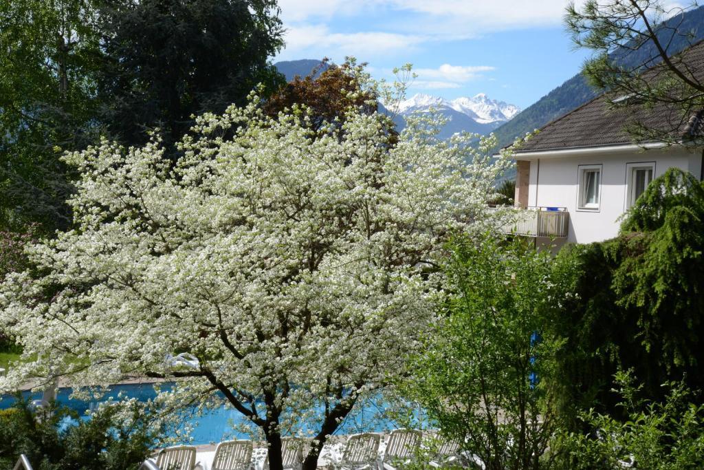 Hotel Tannerhof Merano Extérieur photo